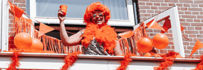 Maak Koningsdag onvergetelijk met onze oranje versieringen - Partywinkel
