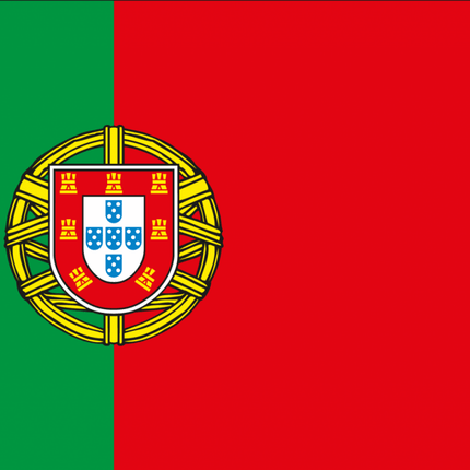 Europese20vlaggen20-20Vlag20Portugal20-2013614-1440x928