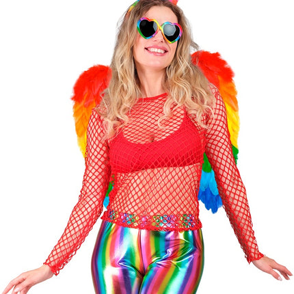 FJÄDERVINGAR REGNBÅGE HOPFÄLLBAR 50 X 50 CM