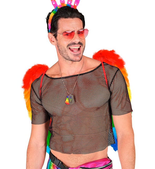 FJÄDERVINGAR REGNBÅGE HOPFÄLLBAR 50 X 50 CM