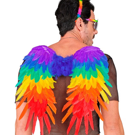 FJÄDERVINGAR REGNBÅGE HOPFÄLLBAR 50 X 50 CM