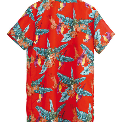 Hawaii Blus Papegojor