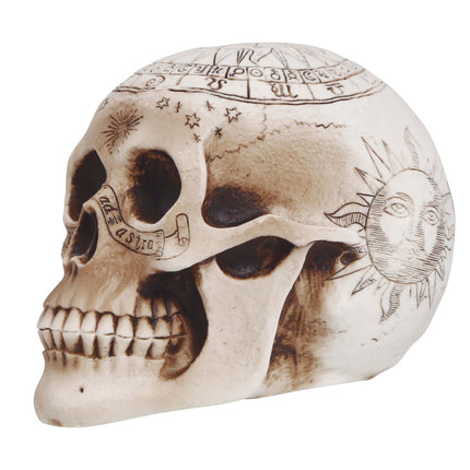 Halloween bordsdekoration Dödskalle 20cm