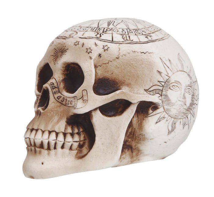 Halloween bordsdekoration Dödskalle 20cm