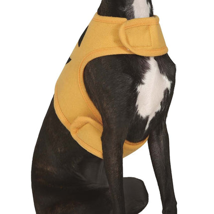 Halloween Djur Kostym Pumpa Maskot