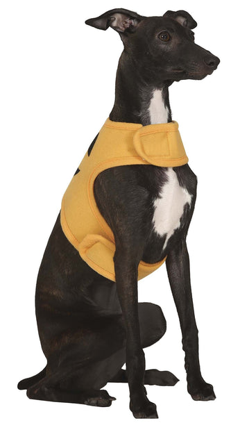 Halloween Djur Kostym Pumpa Maskot