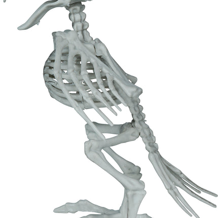 Kråkskelett, grå, 20 cm