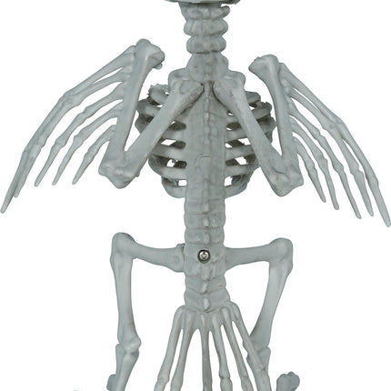 Kråkskelett, grå, 20 cm