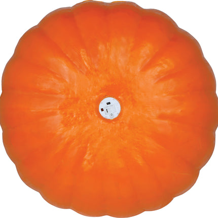 Halloween-pumpa med belysning, 45 cm