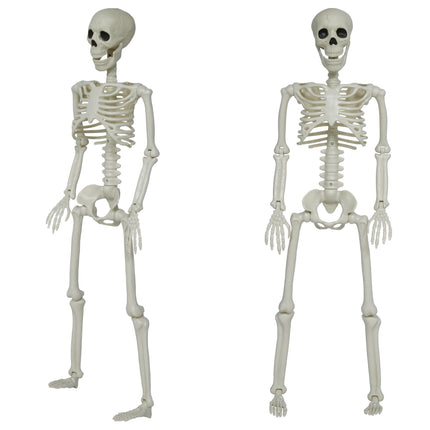 Halloween-skelett med rörliga delar