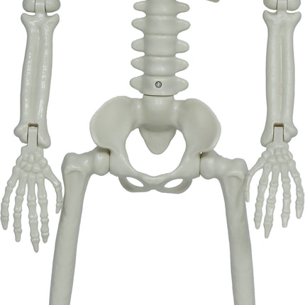 Halloween-skelett med rörliga delar