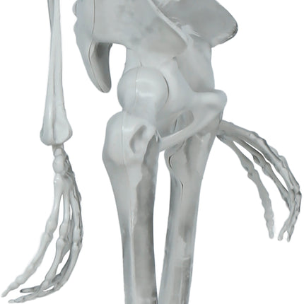 Halloween-skelett, rörligt, 1,4 m