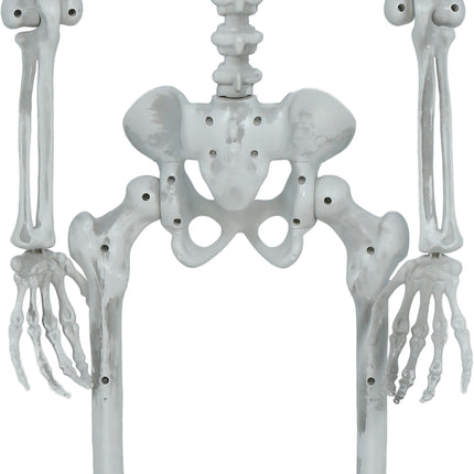 Halloween-skelett, rörligt, 1,4 m