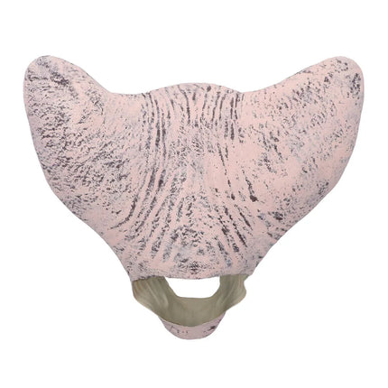 Latex-huvudmask ”Horror cat”