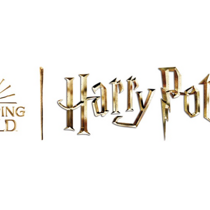 Harry Potter Mini Folieballonnen 23cm 5st