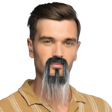 Skägg Fantasy grå