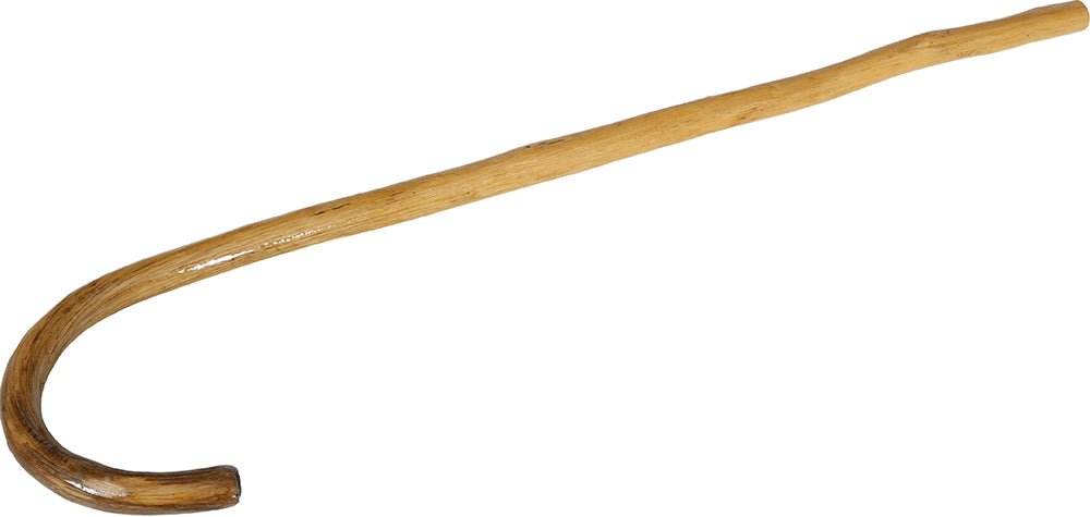 65 cm grandpa cane van Fiestas Guirca koop je bij Partywinkel