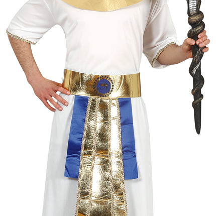 Farao Kostym 14/16 år