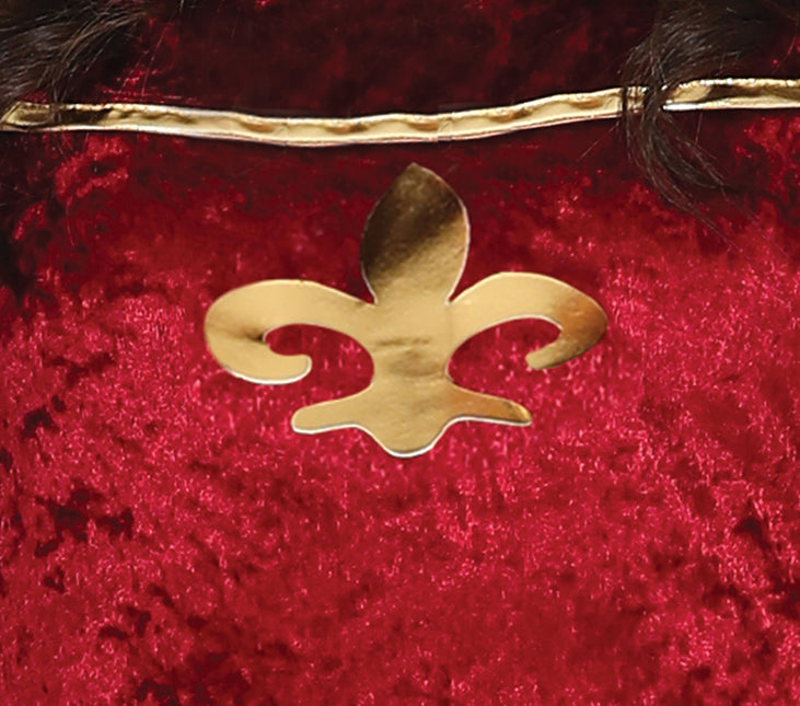 Jonkvrouw Kostym Dam