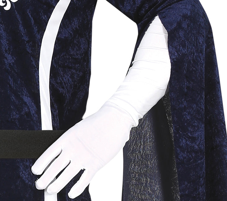 Musketör Kostym Herr Blå