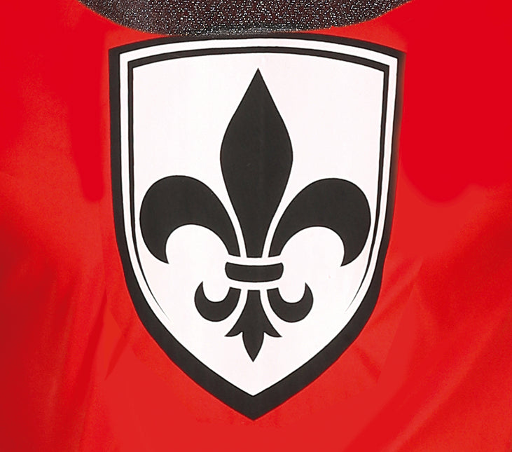 Riddare Kostym Män Medeltiden