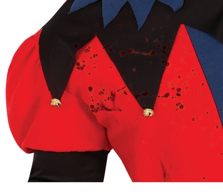 Harlekin Halloween Kostym Herr