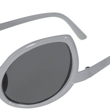 Alien Bril Zilver van Fiestas Guirca koop je bij Partywinkel