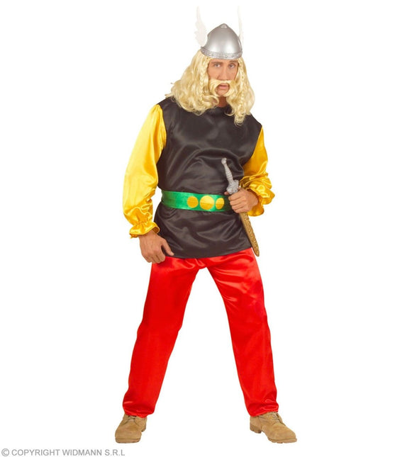 Asterix Kostuum Heren van Widmann koop je bij Partywinkel