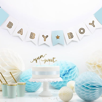 Banner Baby Boy 1,6m van Partydeco koop je bij Partywinkel