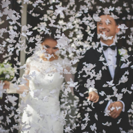 Confetti Kanon Vlinders Wit 60cm van Partydeco koop je bij Partywinkel
