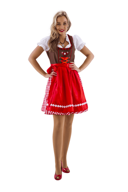 Dirndl bruin - rood/wit geruit van Haus Huberts koop je bij Partywinkel