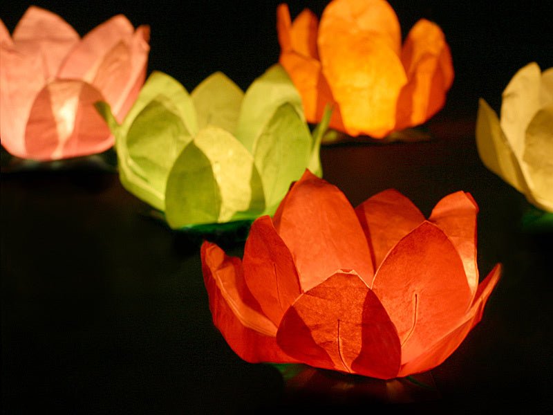 Drijvende Lantaarns Gekleurd 29cm 1st van Partydeco koop je bij Partywinkel