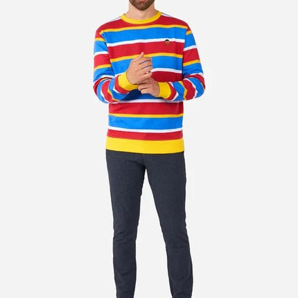 Ernie Sesamstraat Trui Volwassenen van OppoSuits koop je bij Partywinkel