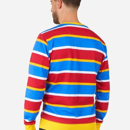 Ernie Sesamstraat Trui Volwassenen van OppoSuits koop je bij Partywinkel