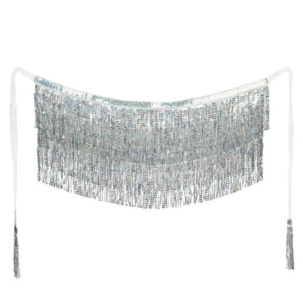 Festival Riem Zilver Franjes van Boland koop je bij Partywinkel