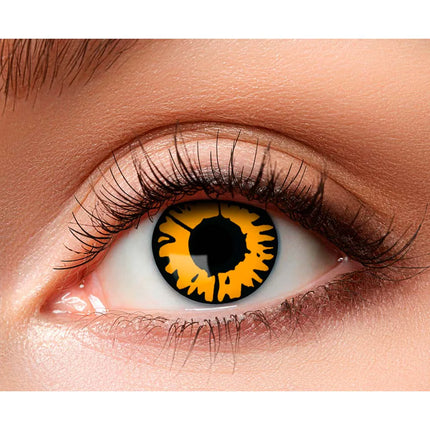 Orangefärgade linser 3Mnd