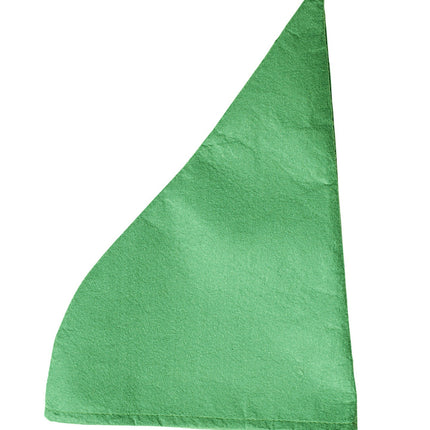 Gnome med grön hatt