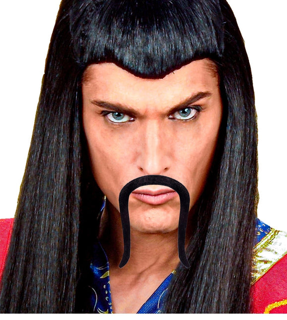 Kinesisk falsk mustasch Svart