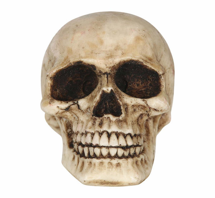 Halloween bordsdekoration Dödskalle 8cm