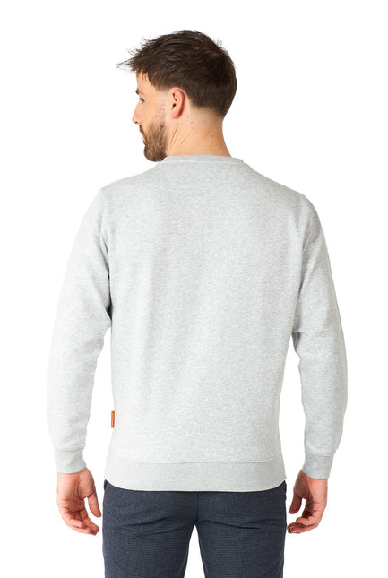 Teenage Mutant Hero Turtle Pizza Party Tröja Män <tc>OppoSuits</tc>