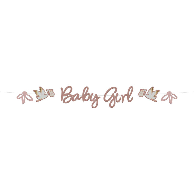 Födelsebokstavsgirlang Babygirl 2m