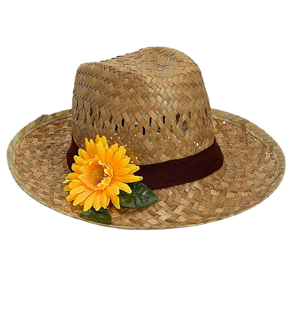 Hawaii hattkäpp