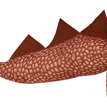 Dinosauriedräkt pojke