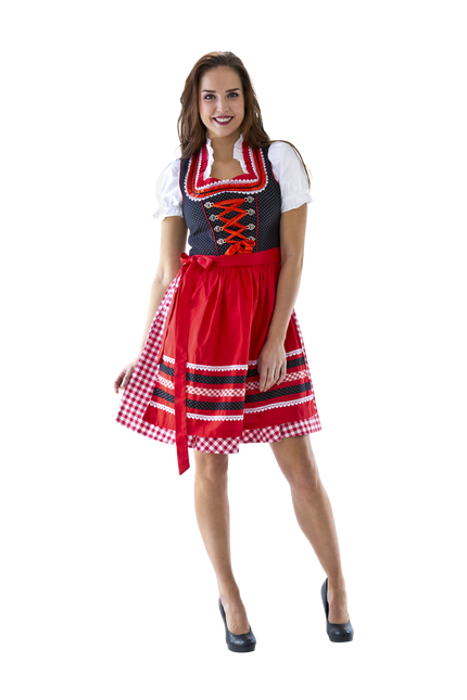 Röd Vit Dirndl Klänning Oktoberfest Ladies Rutig