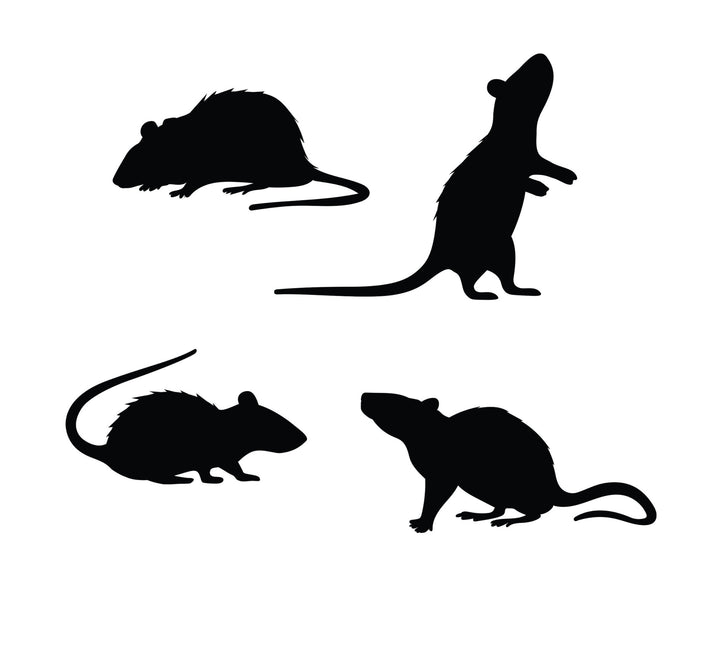 Halloween bordsdekoration råttor