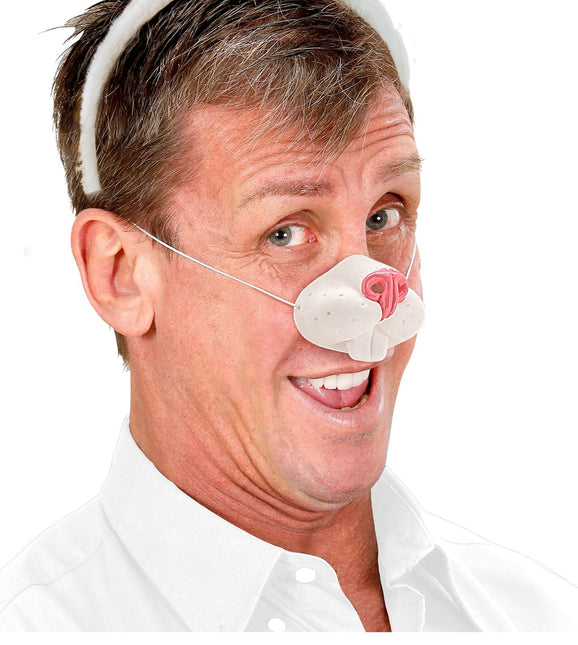 Kanin med falsk näsa