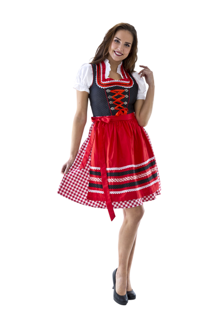 Röd Vit Dirndl Klänning Oktoberfest Ladies Rutig