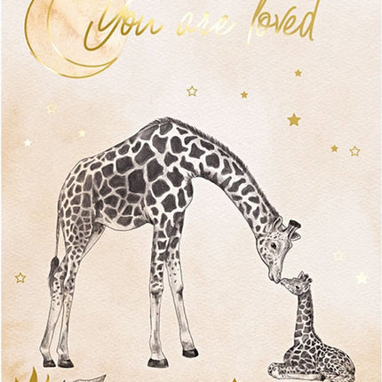 Safari Förutsägelsekort Naken 20st