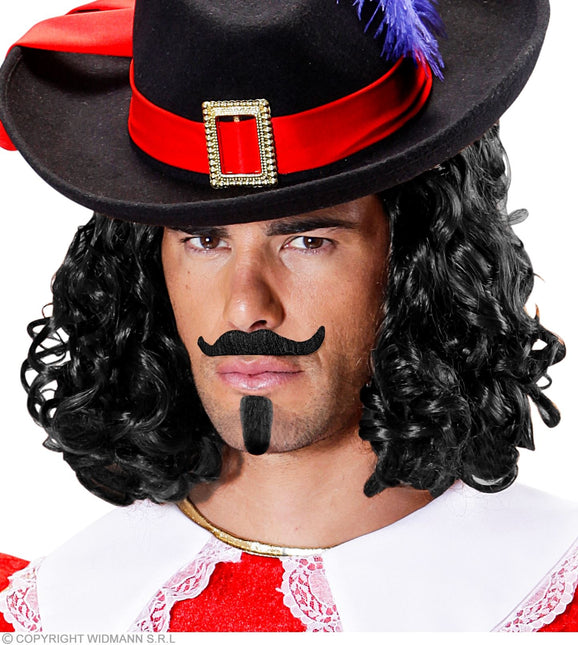 Svart falsk mustasch och bockskägg