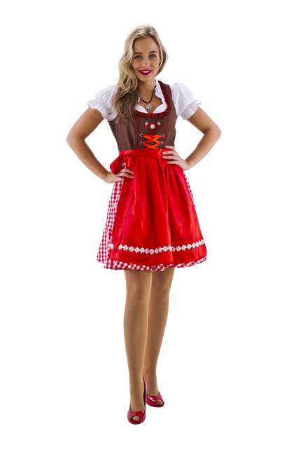 Dirndl brunröd/vit rutig